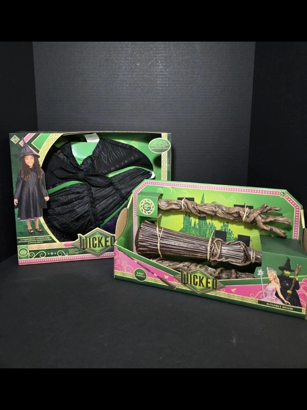 Wicked Witch Kids Costume & Broom